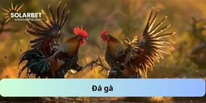 Đá gà