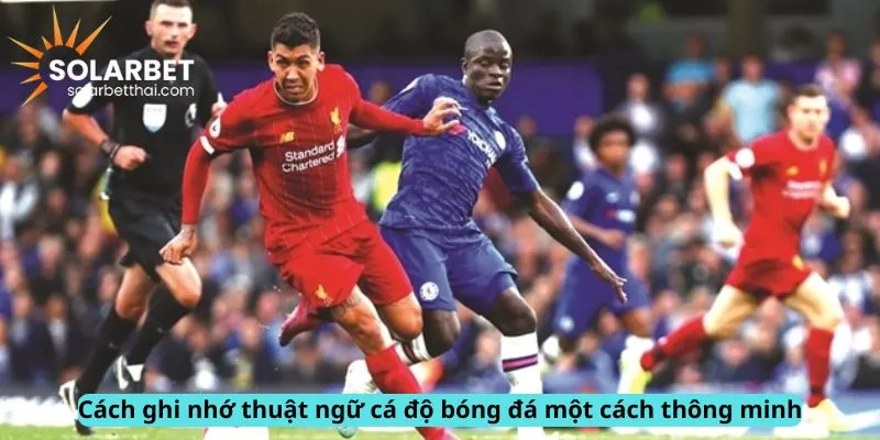 Cách ghi nhớ thông minh