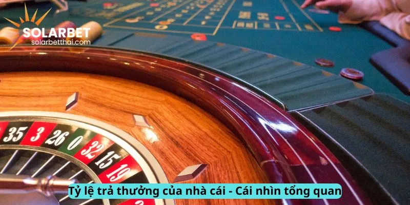 Cái nhìn tổng quan