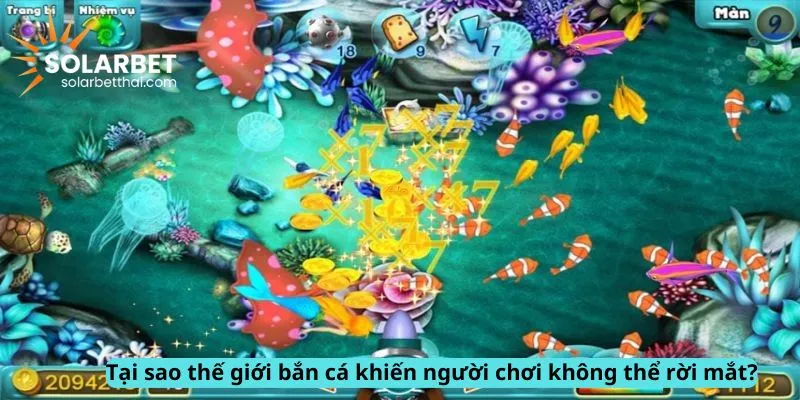 Lý do không thể rời mắt