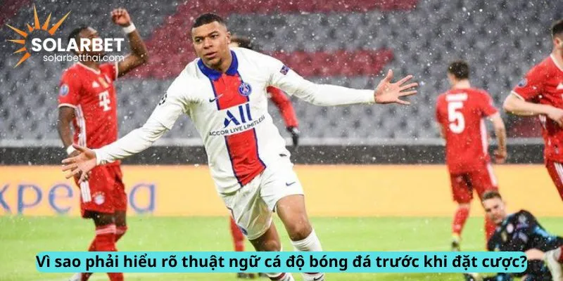 Lý do phải hiểu rõ