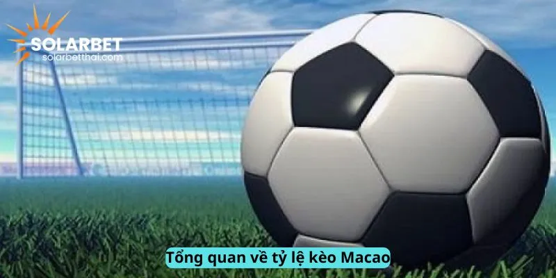 Tổng quan về tỷ lệ kèo Macao