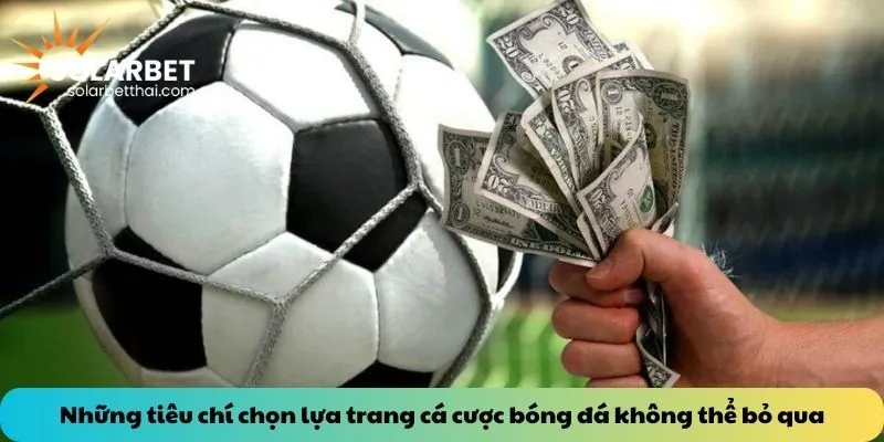 Những tiêu chí chọn lựa trang cá cược bóng đá không thể bỏ qua
