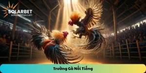 Trường gà nổi tiếng