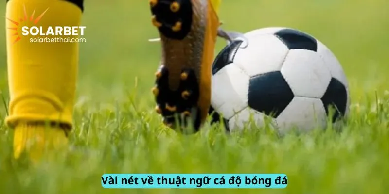 Vài nét về thuật ngữ cá độ bóng đá