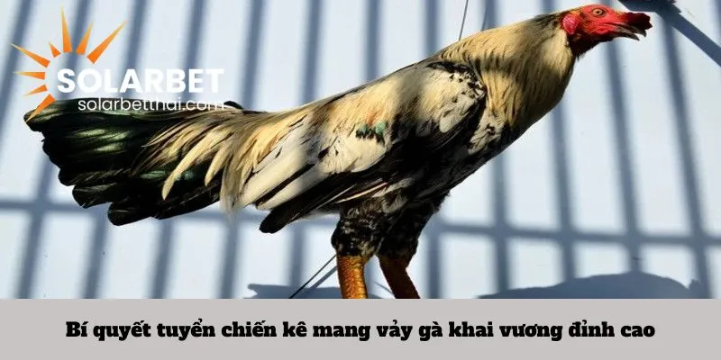 Bí quyết tuyển chiến kê mang vảy gà khai vương đỉnh cao